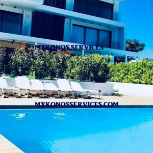 mykonos-services-real-estate-in-mykonos (10)