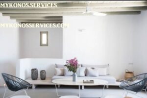 mykonos-services-rent-villa-luxury (11) rent villa mykonos - mykonos services 13
