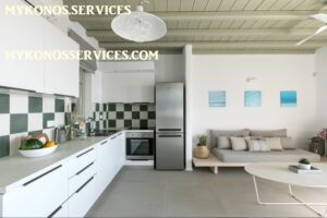 mykonos-services-rent-villa-luxury (12) rent villa mykonos - mykonos services 14