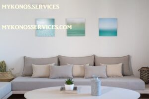 mykonos-services-rent-villa-luxury (17) rent villa mykonos - mykonos services 19
