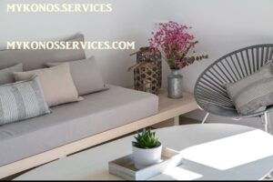 mykonos-services-rent-villa-luxury (2) rent villa mykonos - mykonos services 2