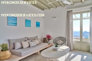 mykonos-services-rent-villa-luxury (4) rent villa mykonos - mykonos services 6