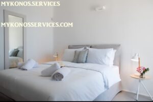 mykonos-services-rent-villa-luxury (7) rent villa mykonos - mykonos services 9