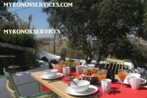 mykonos-services-rent-villa-luxury-mykonos-dangelo-sea-view (5) D Angelo villa sea view - rent villa mykonos services 5